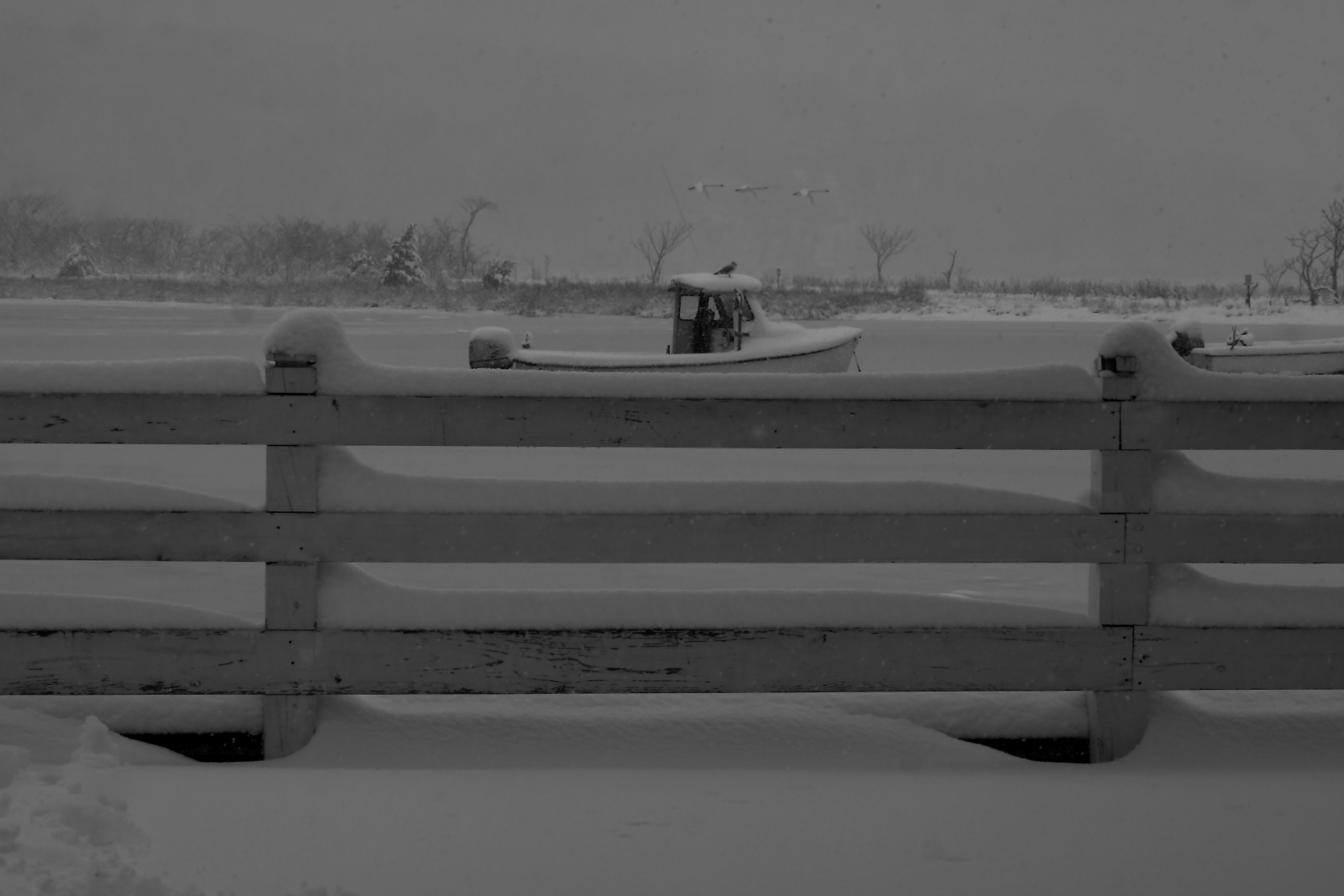 2014 02 03 HTP 27348bw